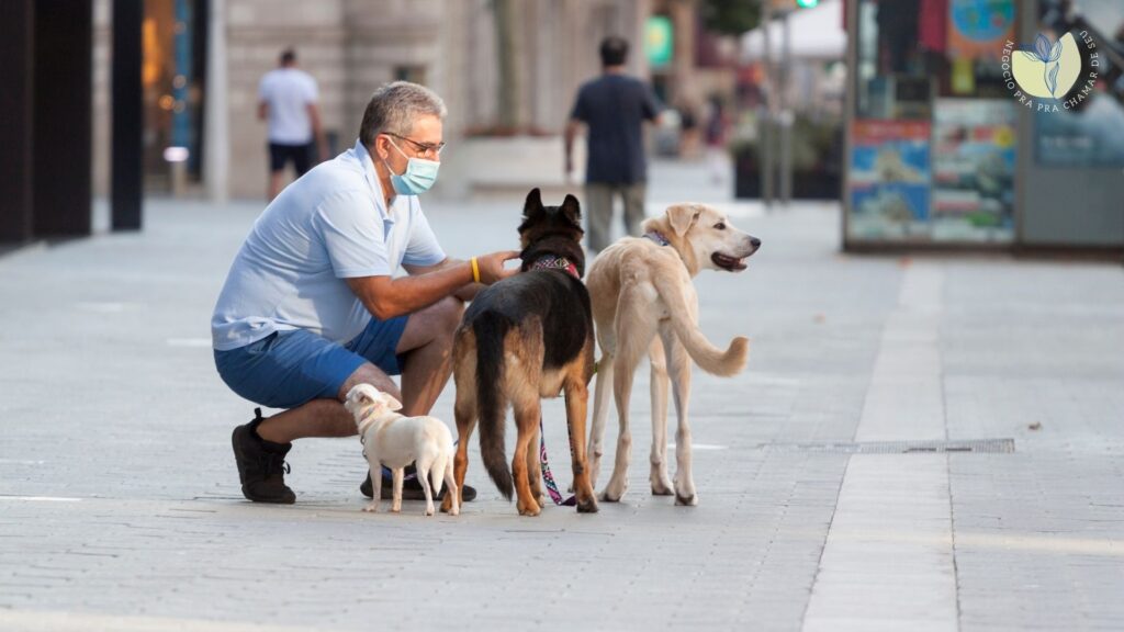 Cuidados para pets